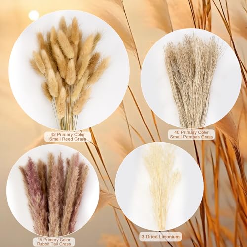 100 Pcs Natural Dried Pampas Grass Bouquet - 17 Inch Boho Home Decor