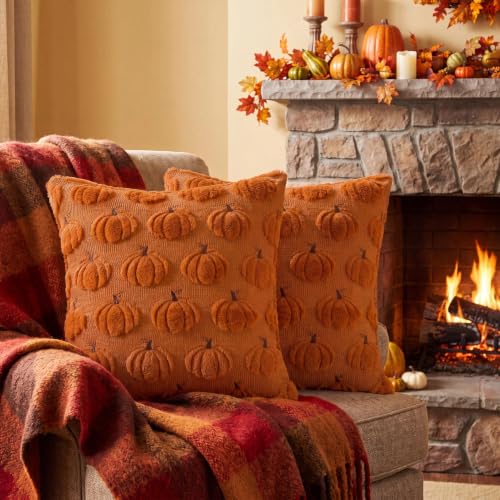 Rust Orange Pumpkin Throw Pillow Covers 18x18 - Set of 2 Fall Autumn Decor