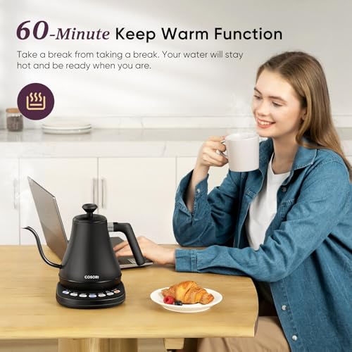 Electric Gooseneck Kettle with Temperature Control, 0.8L Stainless Steel