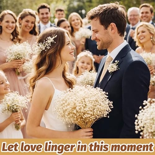 Dried Baby's Breath Flowers, 17-Inch Natural Ivory White Gypsophila Bouquet