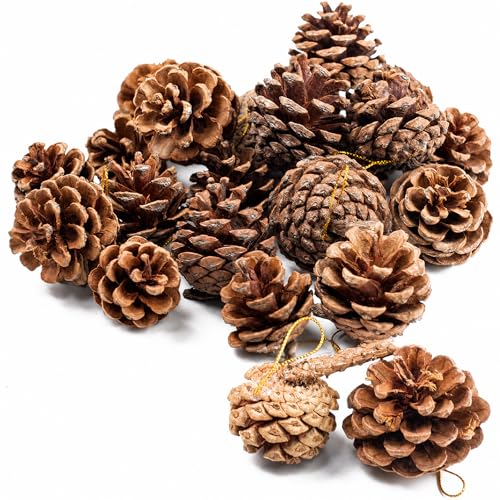 18-Piece Natural Hanging Pine Cones (1.5"-2.5") - Rustic Holiday Decor