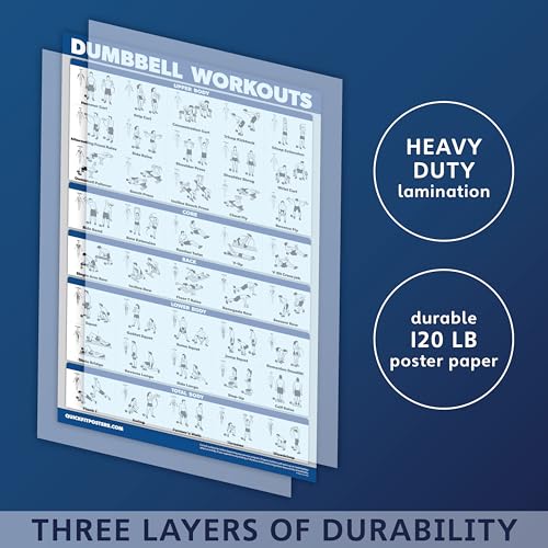 Palace Learning Dumbbell Workout Exercise Poster - 18" x 24" Laminated Home Gym Chart