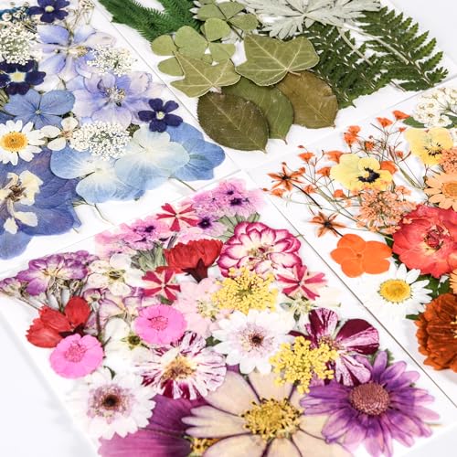 110 Pcs Real Dried Pressed Flowers & Leaves Set for Resin Crafts & DIY