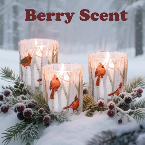 Crystal Club 6.5oz Christmas Berry Soy Wax Candle with Glass Jar
