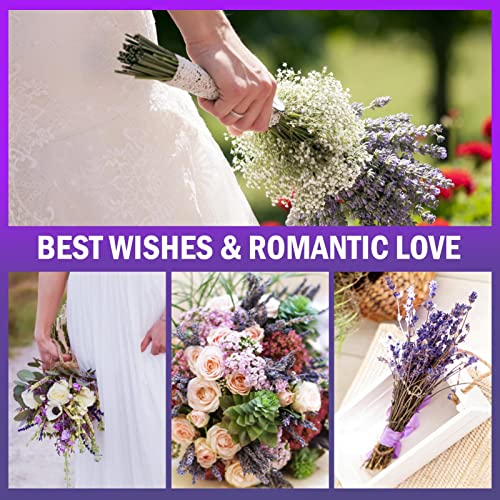 Natural Dried Lavender Flower Bundles for Home Decor and Fragrance