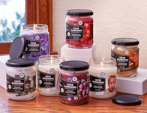 Vanilla Bean Odor Eliminating Soy Candle - 12 oz Scented Wax Candle (80 Hr)