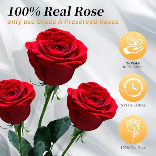 Real Preserved Red Roses in a Box - Long-Lasting Forever Rose Gift Box