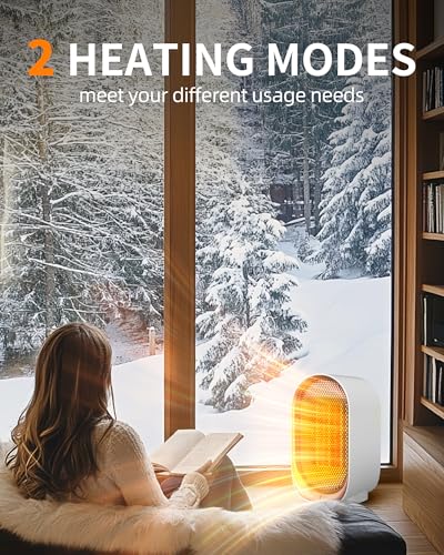 Portable Electric Space Heater for Indoor Use with Overheat Protection