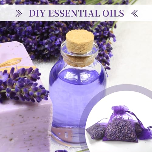 24-Pack Dried Lavender Sachets for Closets and Drawers - Natural Flower Buds