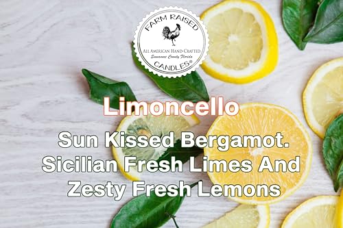 Lemon Sugar Soy Wax Melts - 2 Pack Scented Citrus & Vanilla Wax Cubes