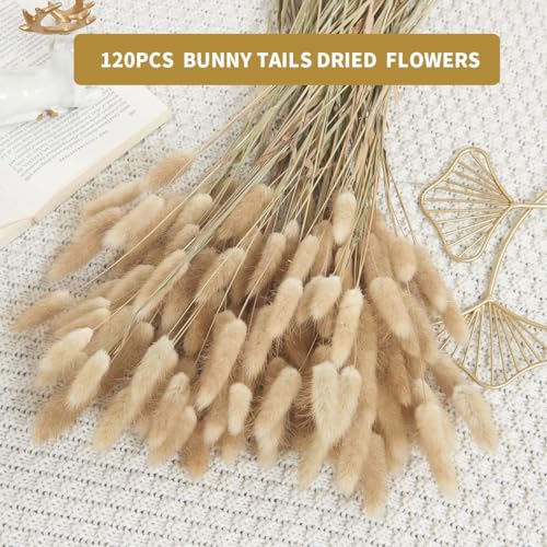 120pcs Dried Bunny Tails Grass 17-Inch Natural Pampas Floral Arrangement