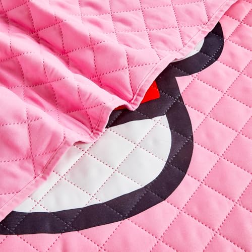 Twin Size Quilted Bedspread Set for Kids with Reversible Design