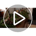 Real Touch Norfolk Pine Garland 6FT - Artificial Winter Greenery (2 Pack)