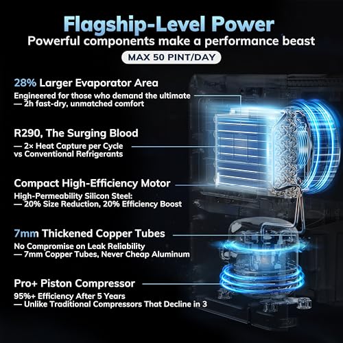50 Pint Compressor Dehumidifier for Basement and Home with Drain Hose