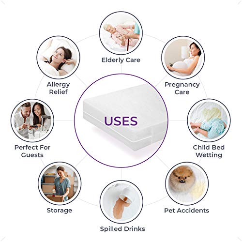 BLISSFORD Zippered Waterproof Vinyl Mattress Protector - Queen Encasement