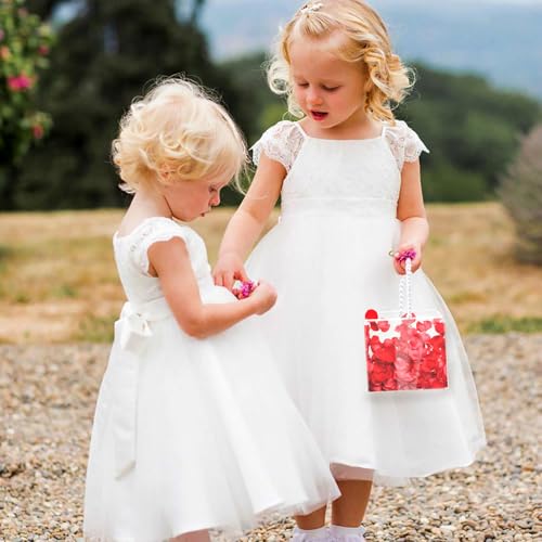 Clear Acrylic Flower Girl Basket for Weddings, 5.3-Inch DIY Petal Holder
