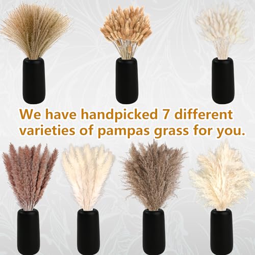 610 Pcs Dried Pampas Grass Decor & Dried Flower Bouquet Set for Boho Home