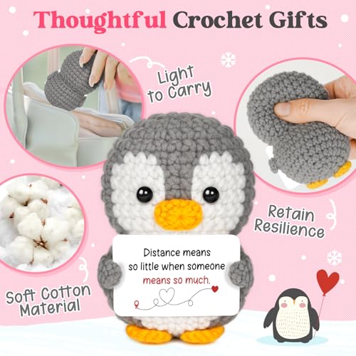 Handmade Crochet Penguin Gift for Long Distance Relationship Couples