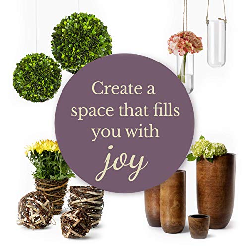 6-Inch Preserved Boxwood Decorative Ball for Indoor Home Decor