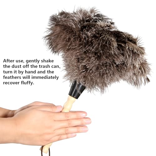 Natural Ostrich Feather Dusters with Wooden Handles, 14 Inch - 2 Pack
