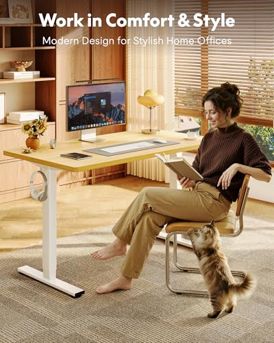 Electric Standing Desk with 4 Memory Presets - 48"x24" One-Piece Top (Maple/White)