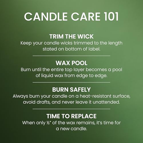 Balsam & Cedar Scented Candle - 22 oz Large Jar (Up to 150 Hour Burn Time)