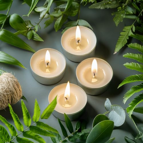 Hypmis Unscented Tea Candles 200 Pack - 8 Hour Burn Time for Weddings & Home Decor