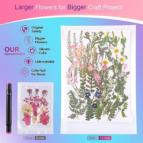 Large Natural Dried Pressed Flowers Set (50+ Pcs) for DIY Crafts & Resin