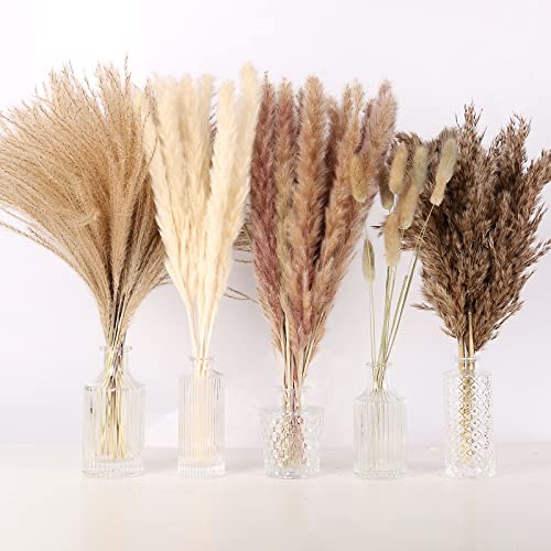 75 Pcs Natural Dried Pampas Grass Decor - Fluffy Boho Bouquet for Vases