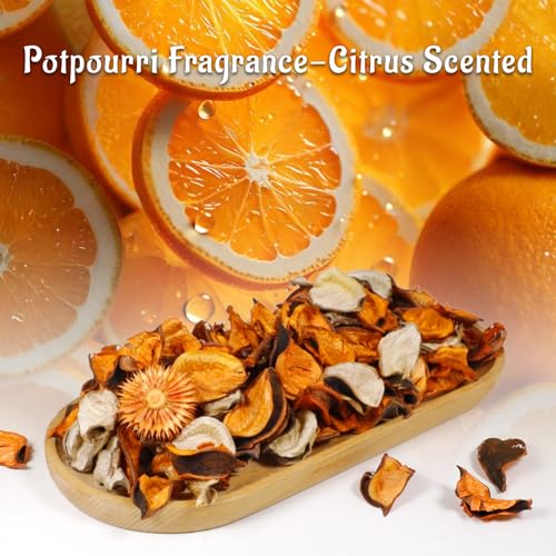 Citrus Scented Potpourri Set with Essential Oil - Decorative Vase Filler