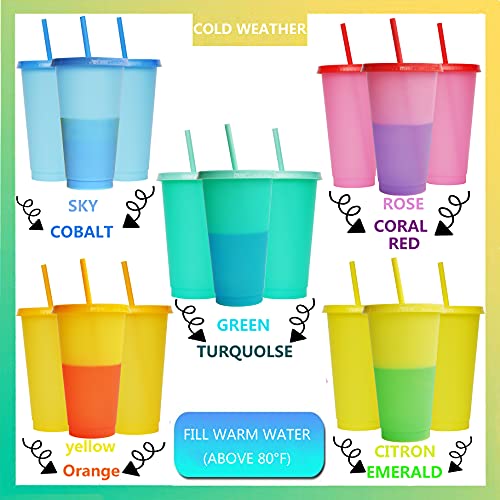 24oz Color Changing Reusable Tumblers with Lids and Straws - 5 Pack