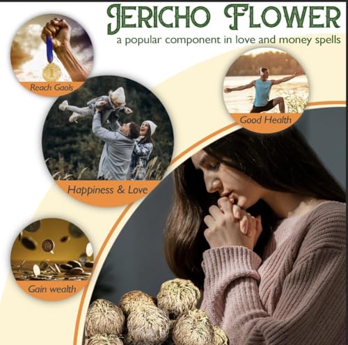 Rose of Jericho Resurrection Plant - 4-Pack Dried Fern for Home Decor