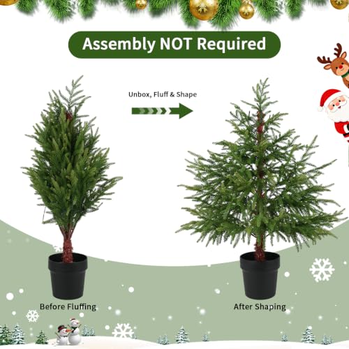 3 ft Pre-Lit Norfolk Pine Christmas Tree with 70 Warm LEDs, No Mess Premium PE