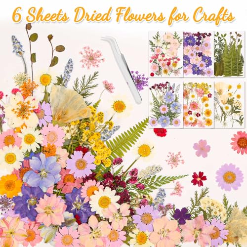 124 Pcs Natural Dried Pressed Flowers and Leaves Kit with Tweezer for Crafts