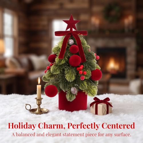 Mini Christmas Tree for Indoor Decor - Tabletop Holiday Decor with Ornaments