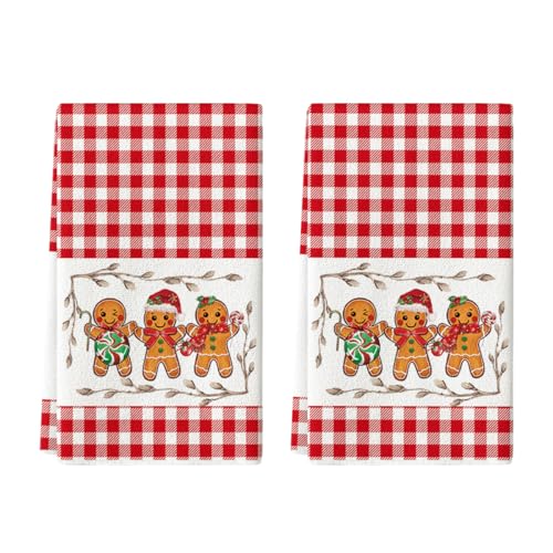 Artoid Mode Red Candy Christmas Kitchen Towels Set of 2 18x26 Inches