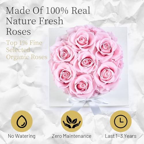 Preserved Pink Roses in a Box - Real Eternal Flowers Gift Set