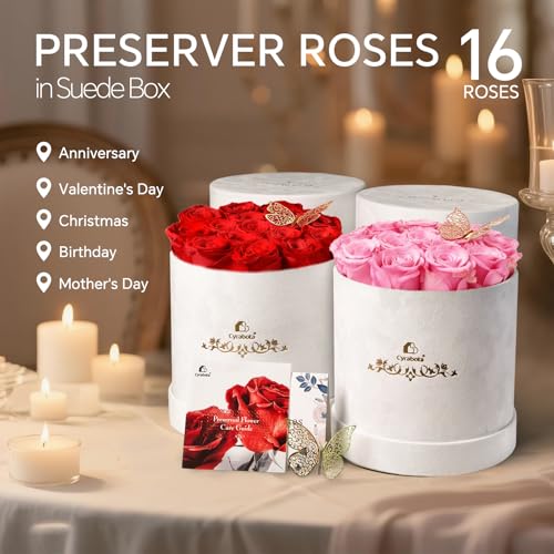 16 Preserved Forever Roses in Luxury Suede Gift Box - Sweet Pink