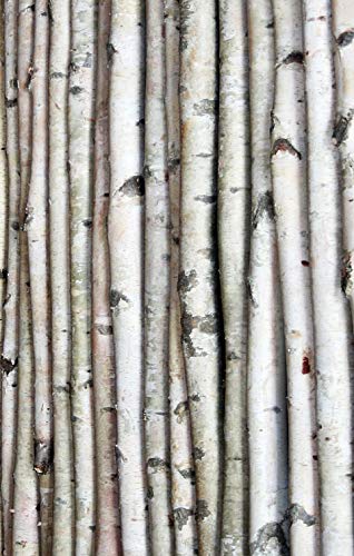 Natural White Birch Poles for Home Decor, 6 ft x 1-1.5 inch (3 Pack)