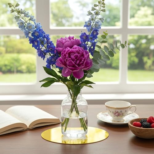 12 Pack 10-Inch Round Gold Acrylic Mirror Centerpieces for Tables and Walls