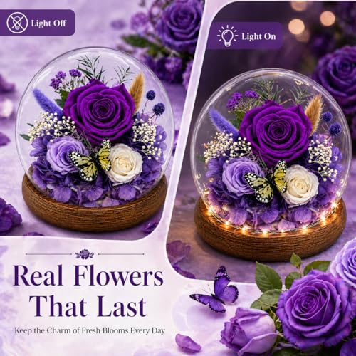 Preserved Rose in Glass Dome with LED Lights - Eternal Flower Gift