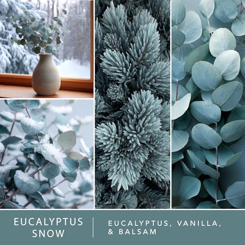 Scentsationals Eucalyptus Snow Scented Wax Melts - 10oz Winter Fragrance Cubes