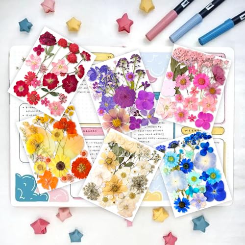 221 Pcs Natural Dried Pressed Flowers & Butterfly Stickers for Resin Crafts