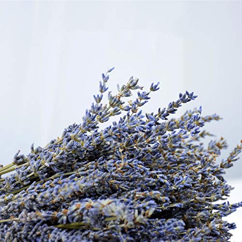 Natural Dried Lavender Flower Bundles, 200 Stems for Decor and Weddings