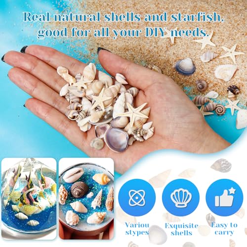 1200 Pcs Small Natural Sea Shells & Starfish for DIY Crafts & Vase Filler