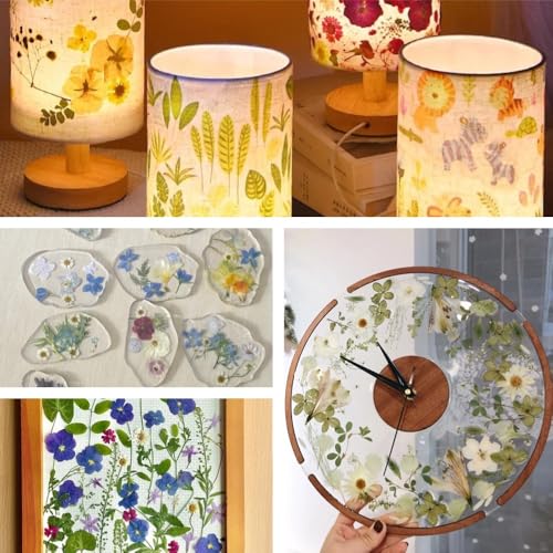 80pcs Natural Pressed Dried Flowers for Resin Art, Nail Art, and DIY Crafts