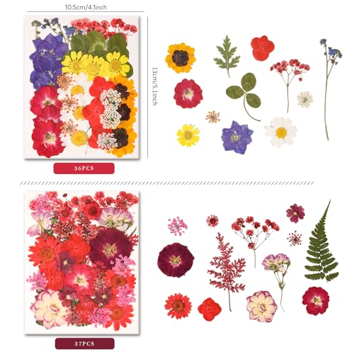 330PCS Natural Pressed Dried Flowers and Leaves Set with Tweezers