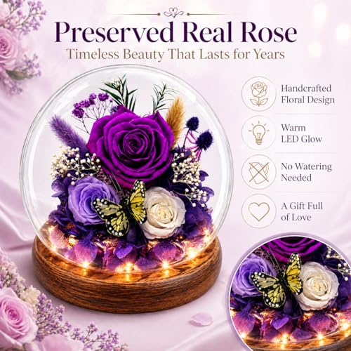 Preserved Rose in Glass Dome with LED Lights - Eternal Flower Gift