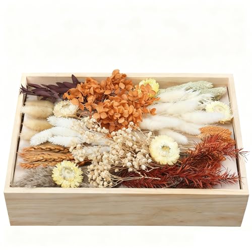 Natural Dried Flower Bouquet Set for DIY Floral Arrangements & Decor