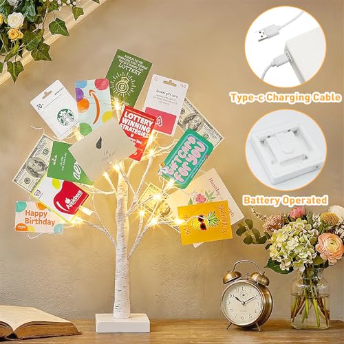 Lighted Birch Money Tree Gift Holder with Clips & Cards - 2FT
